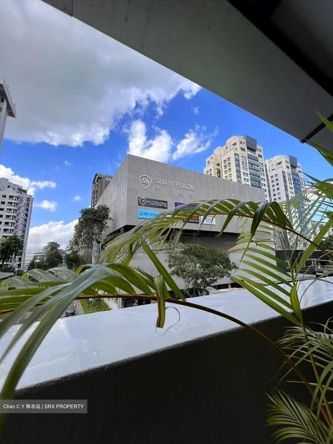 Balestier Road (D12), Shop House #618835051